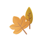 Brisbane Immigration Agent